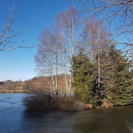 Fermette Typique Auvergnate Dans Son Ecrin D'Eau Et De Verdure Saint-Donat Eksteriør billede
