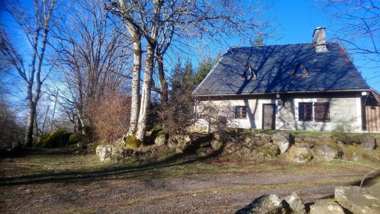Fermette Typique Auvergnate Dans Son Ecrin D'Eau Et De Verdure Saint-Donat Eksteriør billede