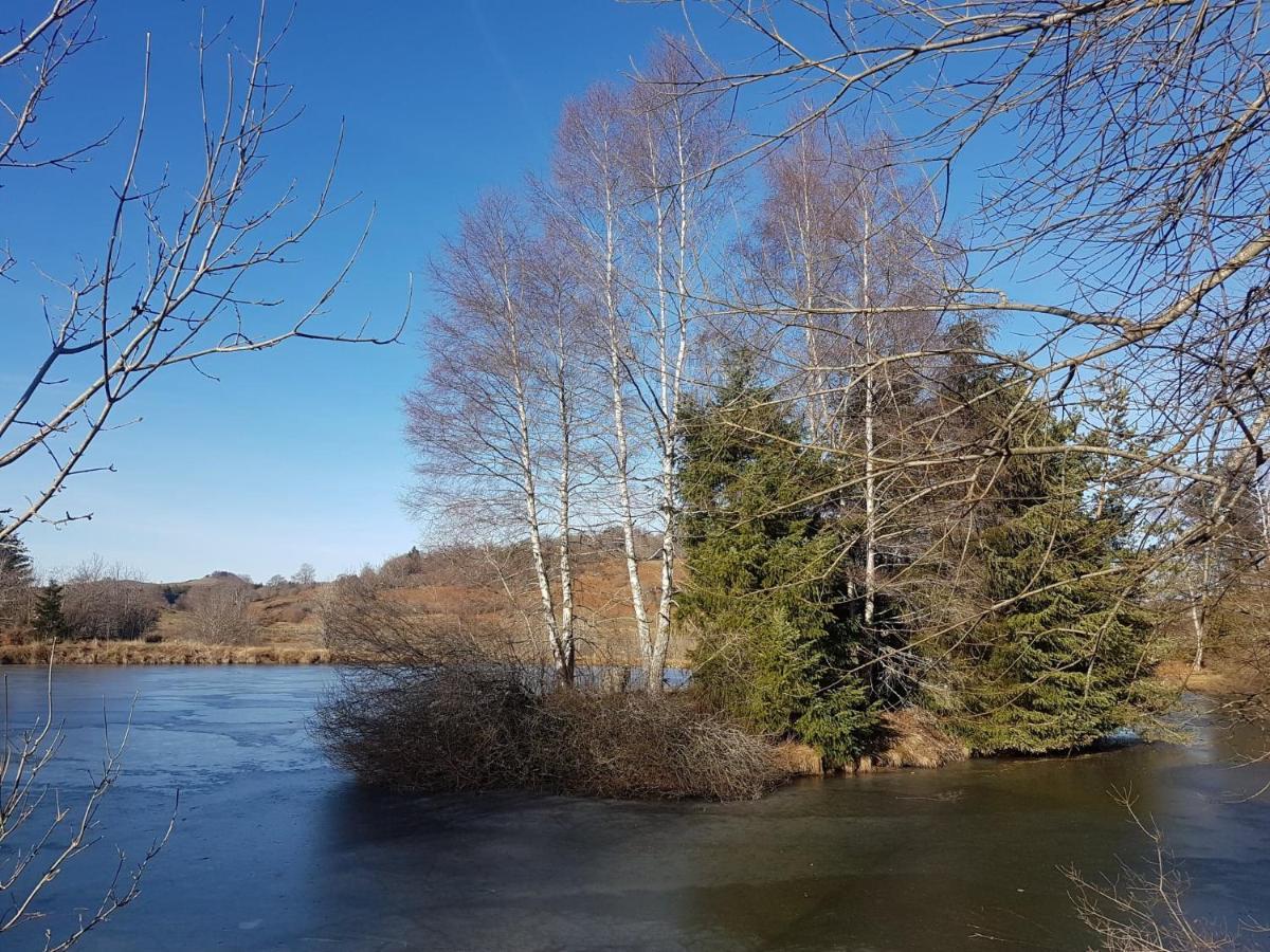 Fermette Typique Auvergnate Dans Son Ecrin D'Eau Et De Verdure Saint-Donat Eksteriør billede