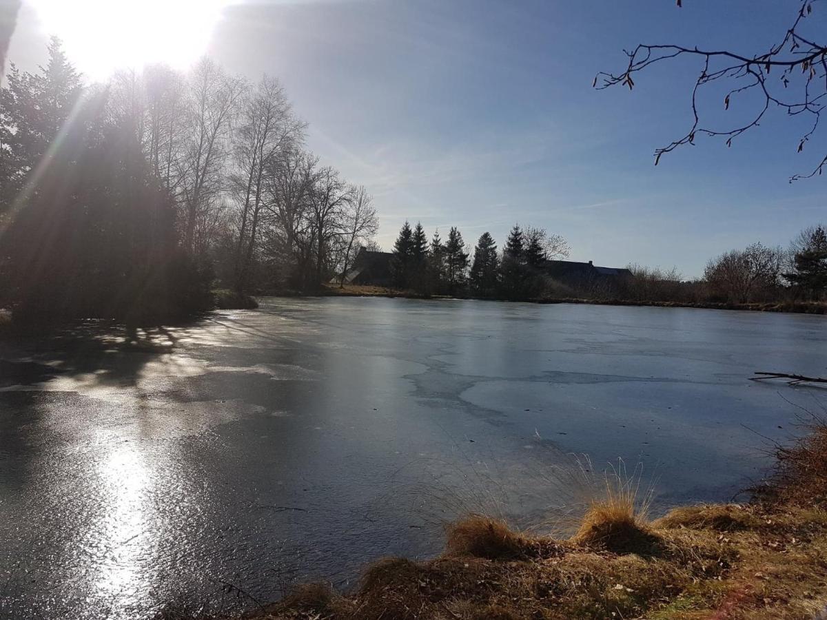 Fermette Typique Auvergnate Dans Son Ecrin D'Eau Et De Verdure Saint-Donat Eksteriør billede